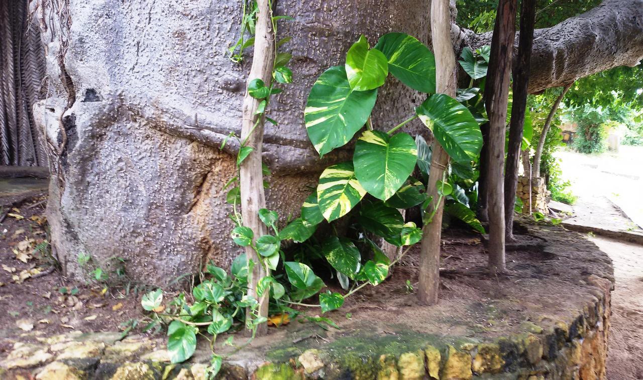 Bahari Pori Resort Pangani Exterior photo